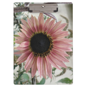 Pale Pink Sunflower Clipboard