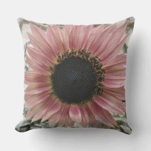 Pale Pink Sunflower Cushion