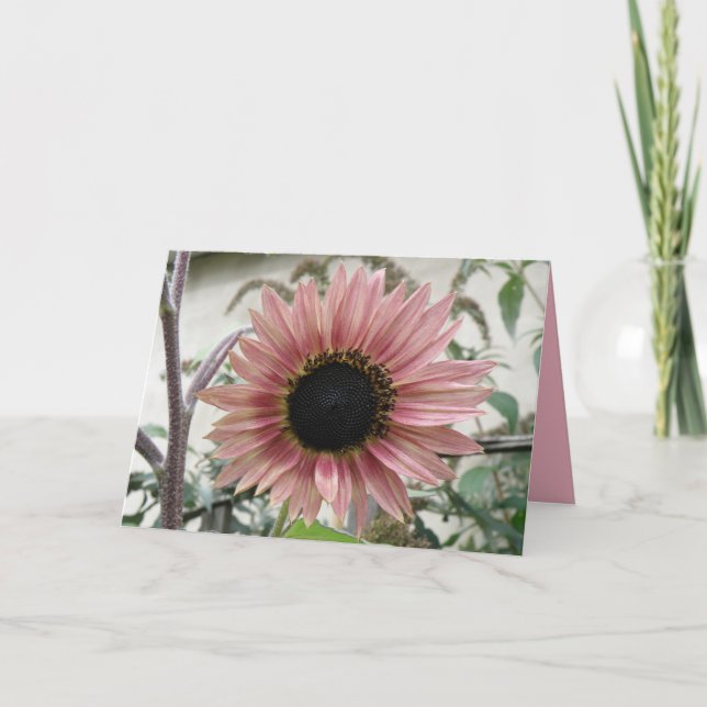 Pale Pink Sunflower Get Well Soon Custom Card (Front)