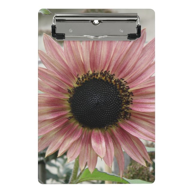 Pale Pink Sunflower Mini Clipboard (Front)