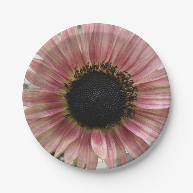 Pale Pink Sunflower Paper Plate (Front)