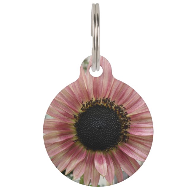 Pale Pink Sunflower Personalised Pet Tag (Front)
