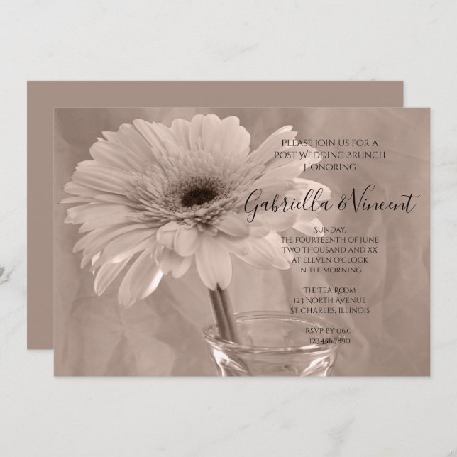 Pale Pink Tinted Daisy Post Wedding Brunch Invitation (Front/Back)