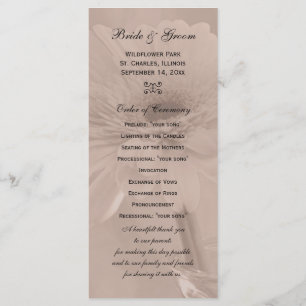 Pale Pink Tinted Daisy Wedding Program Programme