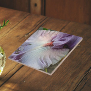 Pale Purple Bearded Iris Floral Tile
