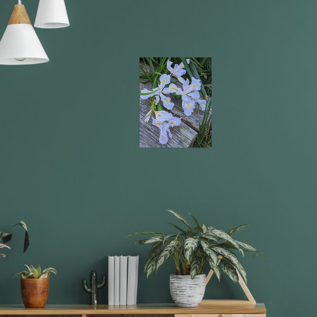 Pale Purple Iris Flowers Poster (Living Room 1)