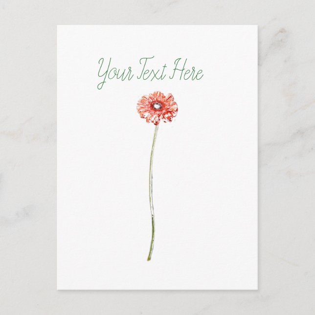 Pale Red Gerbera Flower Postcard (Front)