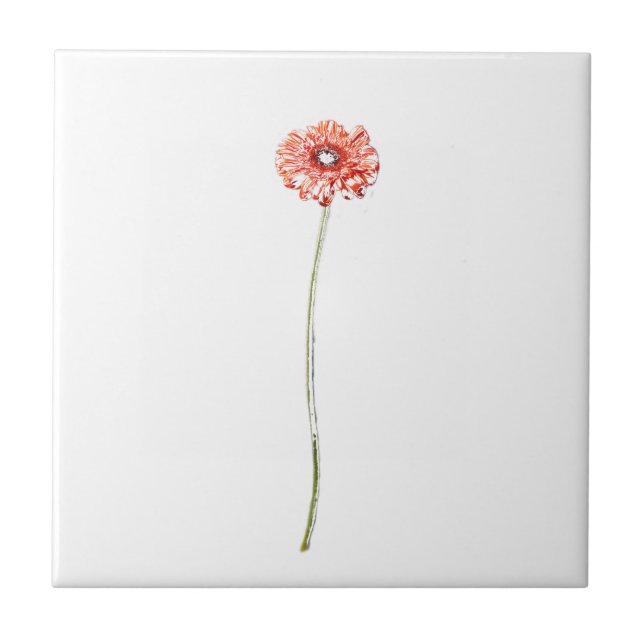 Pale Red Pink Gerbera Flower Sketch Tile (Front)