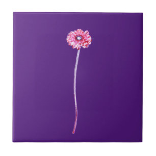 Pale Red Pink Purple Gerbera Flower Tile