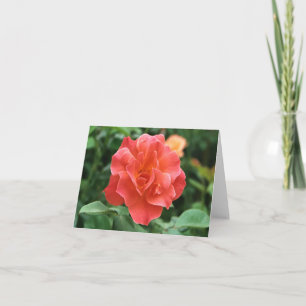 Pale Red Rose.. Card