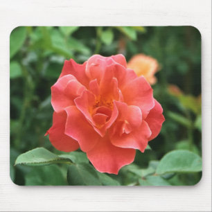 Pale Red Rose.... Mouse Pad