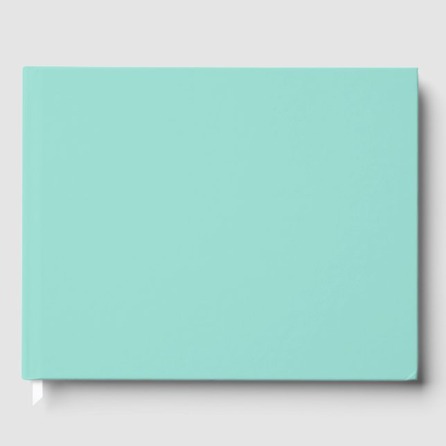 Pale Robin Egg Blue Solid Colour Guest Book (Front)