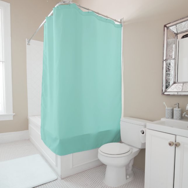Pale Robin Egg Blue Solid Colour Shower Curtain (In Situ)