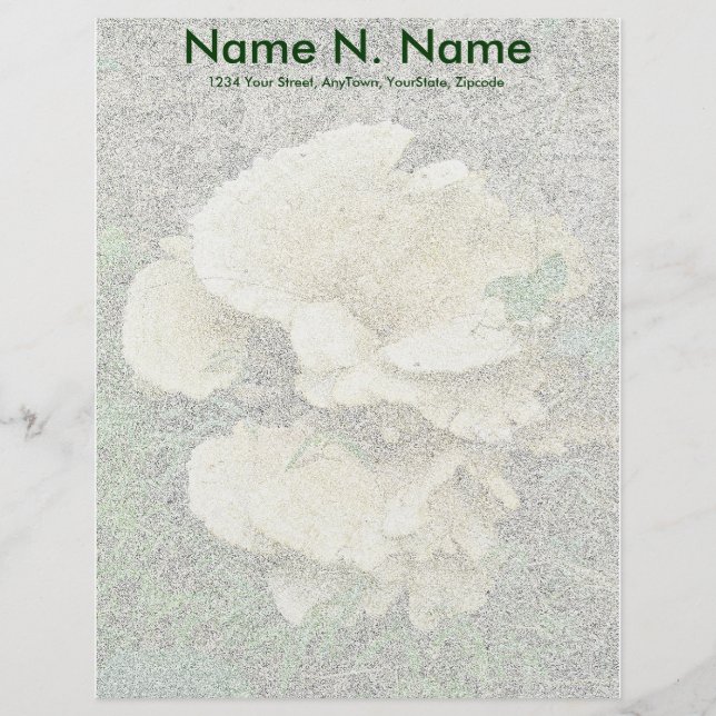 Pale Shelf Fungus Coordinating Items Letterhead (Front)