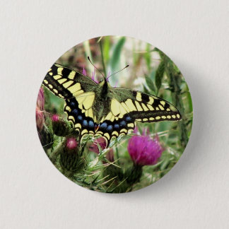 Pale Yellow and Blue Butterfly 6 Cm Round Badge