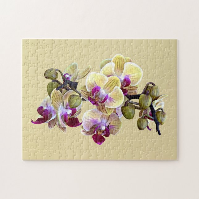 Pale Yellow and Magenta Phalaenopsis Orchids Jigsaw Puzzle (Horizontal)