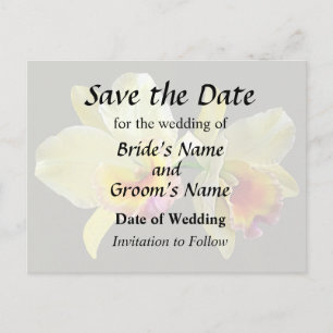 Pale Yellow Cattleya Orchids Save the Date Announcement Postcard