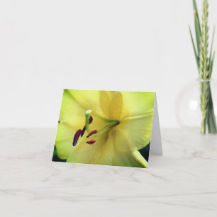 Pale Yellow Lily Flower Photography  Note Card