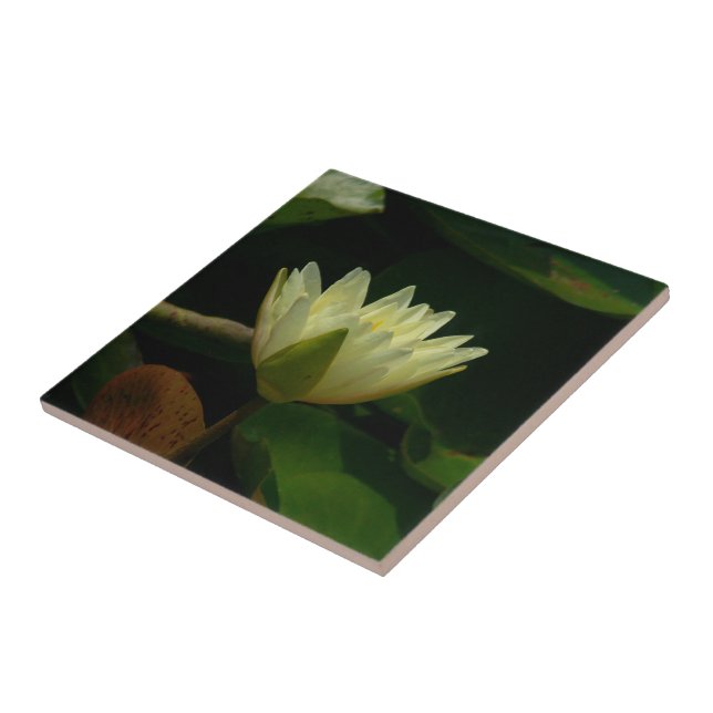 "PALE YELLOW LOTUS BLOSSOM" CERAMIC TILE/TRIVET TILE (Side)