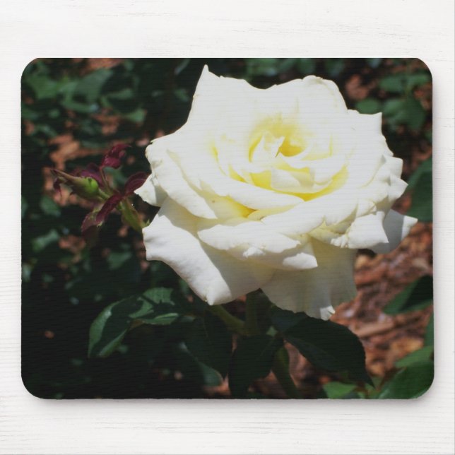 Pale Yellow Rose Mouse Pad (Front)