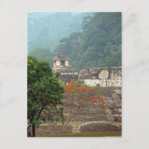 Palenque, Mexico Postcard