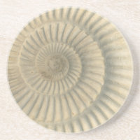 "Paleo-chic" Perisphinctes Ammonite Trinket Tray