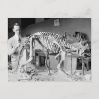 Paleontology Scientist Baby Dinosaur Vintage
