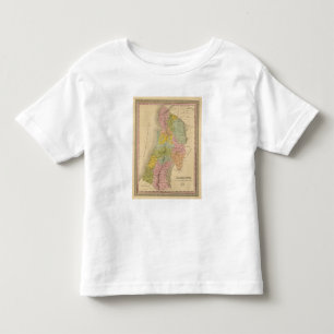 Palestine 3 toddler T-Shirt