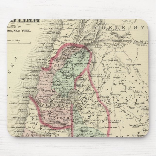 Palestine 4 mouse pad (Front)