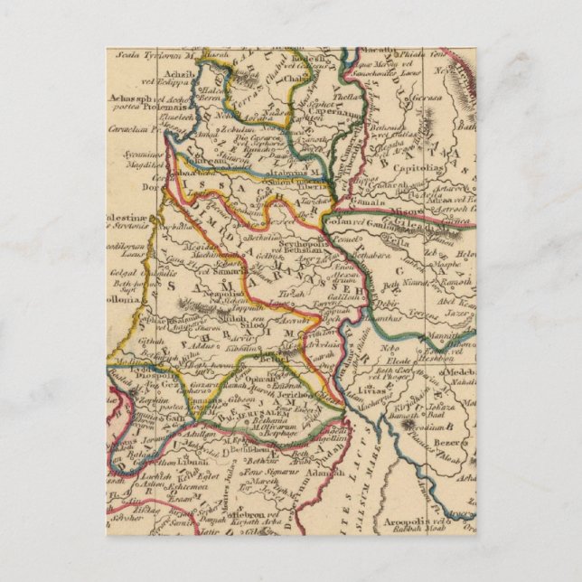 Palestine 5 postcard (Front)