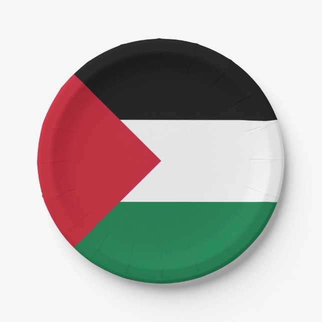 Palestine Flag Paper Plate (Front)