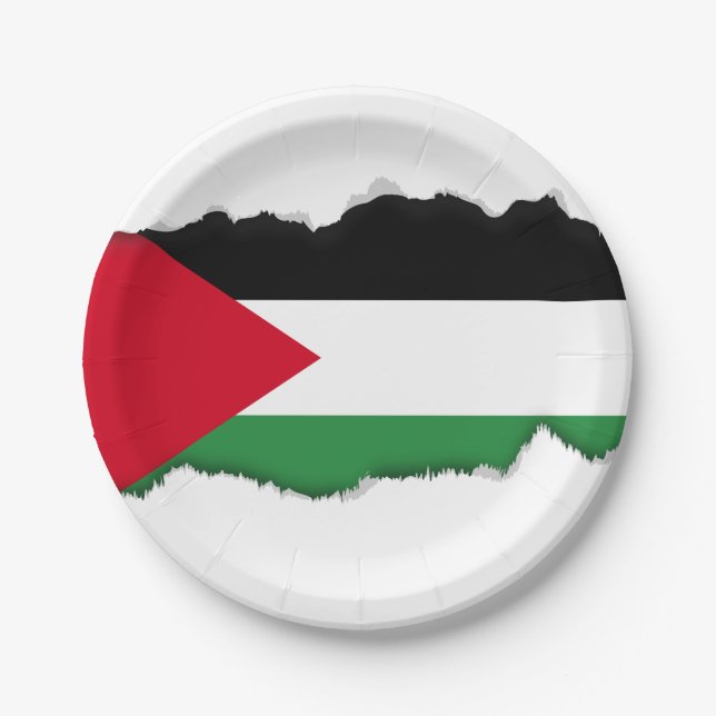 Palestine Flag Paper Plate (Front)