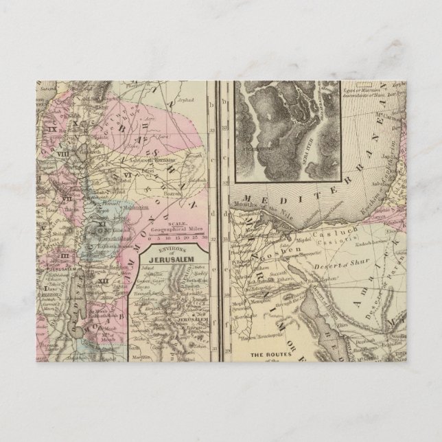 Palestine, Israelites Postcard (Front)