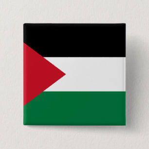 Palestine, Palau flag 15 Cm Square Badge