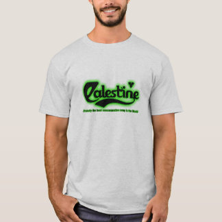 palestine probally T-Shirt