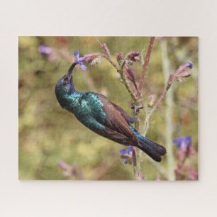Palestine Sunbird, National Bird Wildlife Poster Jigsaw Puzzle