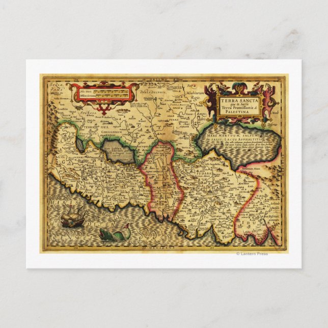 PalestinePanoramic MapPalestine 5 Postcard (Front)