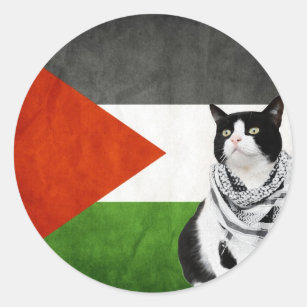 Palestinian Kufiya Wearing Cat Palestine Flag Classic Round Sticker