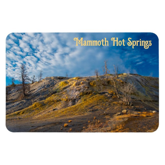 Palette Springs Sunrise Mammoth Hot Springs Magnet (Horizontal)
