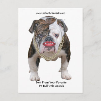 Palin Pit Bull with Lipstick Postcard