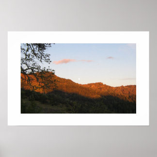 "Palisades" Poster