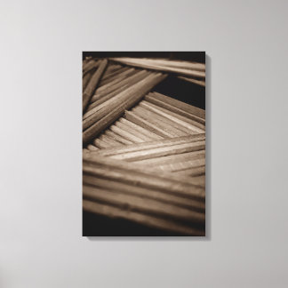 PALITES Ppass Canvas Print