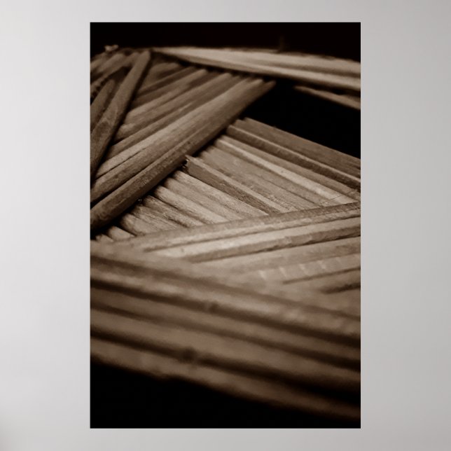 PALITES Ppass Poster (Front)