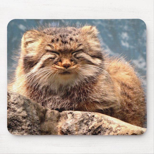 Pallas Cat Mouse Pad (Front)