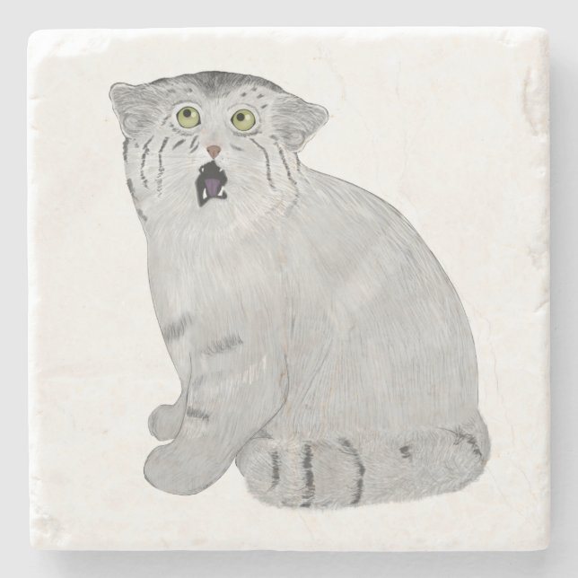 Pallas Cat Stone Coaster (Front)