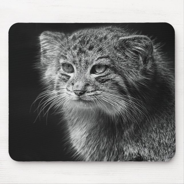 Pallas's cat portrait mouse pad (Front)