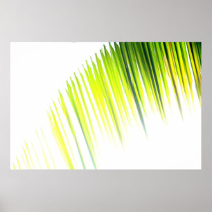 Palm Abstract (poster) Poster