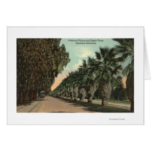 Palm and Pepper Trees Alongside Avenue