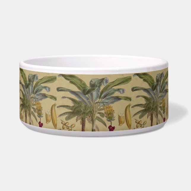 Palm Antique Tropical Fruit Botanical Art (Front)
