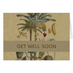 Palm Antique Tropical Fruit Botanical Art